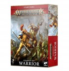 Warhammer Age Of Sigmar: Warrior -Aloituspaketti