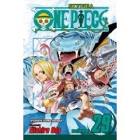 One Piece 29