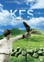 Kes - poika ja haukka