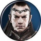 The Hobbit: Elrond Pin