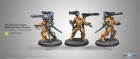 Infinity: Yu Jing - Invincibles Yan Huo (2 Missile Launchers)