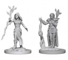 D&D Nolzur\'s Marvelous Unpainted Minis: Human Female Druid