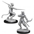 D&D Nolzur's Marvelous Unpainted Minis: Tabaxi Male Rogue (2)