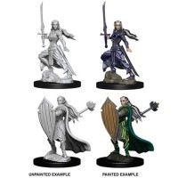 D&D Nolzur\'s Marvelous Unpainted Minis: Elf Female Paladin