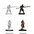 D&D Nolzur's Marvelous Unpainted Minis: Yuan-ti Purebloods