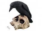 Nemesis Now: Ravens Remains (13cm)