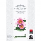 Petrichor: Flowers Expansion