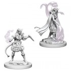 D&D Nolzur's Marvelous Unpainted Minis: Tiefling Female Sorcerer