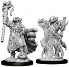 D&D Nolzur's Marvelous Unpainted Minis: Dragonborn Sorcerer