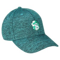 Lippis: Harry Potter - Slytherin Baseball Cap