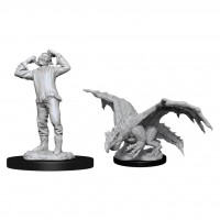 Nolzur Unpainted Miniatures: GreenDragon Wyrmling & Afflicted Elf