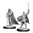 D&D Nolzur's Marvelous Miniatures: Human Paladin Male