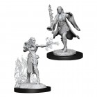 D&D Nolzur's Marvelous Miniatures: Multiclass Warlock & Sorcerer Female