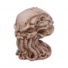 Patsas: Cthulhu Skull (20cm)