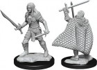 Pathfinder Deep Cuts Unpainted Miniatures: Male Elf Fighter