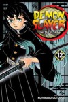 Demon Slayer: Kimetsu No Yaiba 12