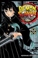 Demon Slayer: Kimetsu No Yaiba 12