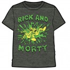 T-Paita: Rick & Morty - Green Spill (M)