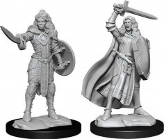 Pathfinder Deep Cuts Unpainted Miniatures: Human Champion Female (2)