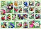 Palapeli: Stamp Flower Collection (2000)