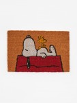 Matto: Snoopy (60x40)