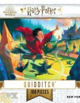 Palapeli: Harry Potter - Quidditch Mini (100)
