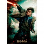 Palapeli: Harry Potter - Battle 3D Image (300pc)