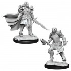 D&D Nolzur's Marvelous Miniatures: Dragonborn Fighter Female