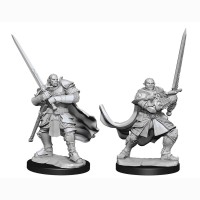 D&D Nolzur\'s Marvelous Miniatures: Half-Orc Paladin Male