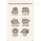 Juliste: Pusheen - Reasons (61x91,5cm)