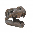 Patsas: Tyrannosaurus Rex Skull Freestanding (16cm)