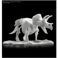 Dinosaur - Dinosaur Model Kit Limex Skeleton Triceratops