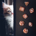 Noppasetti: Cats - Muffin