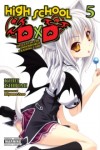 High School DXD Light Novel: 05