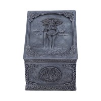 Silytysrasia: Mother Earth Box (15.5cm)