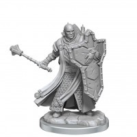 D & D Frameworks: Miniature Model Kit - Human Cleric Male