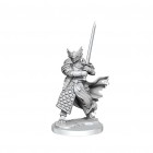 D & D Frameworks: Miniature Model Kit - Dragonborn Paladin Male