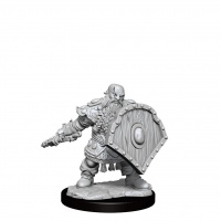 Dungeons & Dragons Frameworks - Dwarf Fighter Male