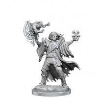 Dungeons & Dragons Frameworks - Human Warlock Male