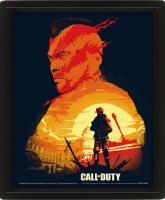 Taulu: Call Of Duty - Sunset, 3D (Framed 20x25)