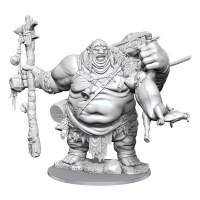 Dungeons & Dragons Frameworks - Hill Giant