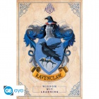 Juliste: Harry Potter - Ravenclaw (91.5x61cm)