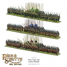 Pike & Shotte Epic Battles - Thirty Years War Infantry Battalia