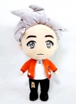 Pehmo: BTS - Rm Tinytan (30cm)