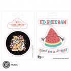 Ed Sheeran - Stickers - 16x11cm / 2 Sheets - Set 1 X5