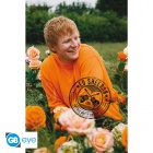 Juliste: Ed Sheeran - Rose Field (91.5x61)
