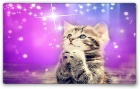 Hiirimatto: Sparkle Kitten (24x20cm)