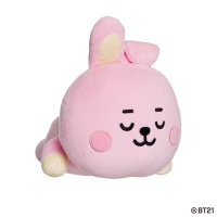 Pehmolelu: BT21 - Cooky Mini Pillow Cushion