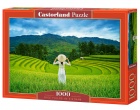 Palapeli: Rice Fields In Vietnam (1000)