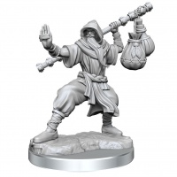 Dungeons & Dragons: Frameworks - Human Monk Male